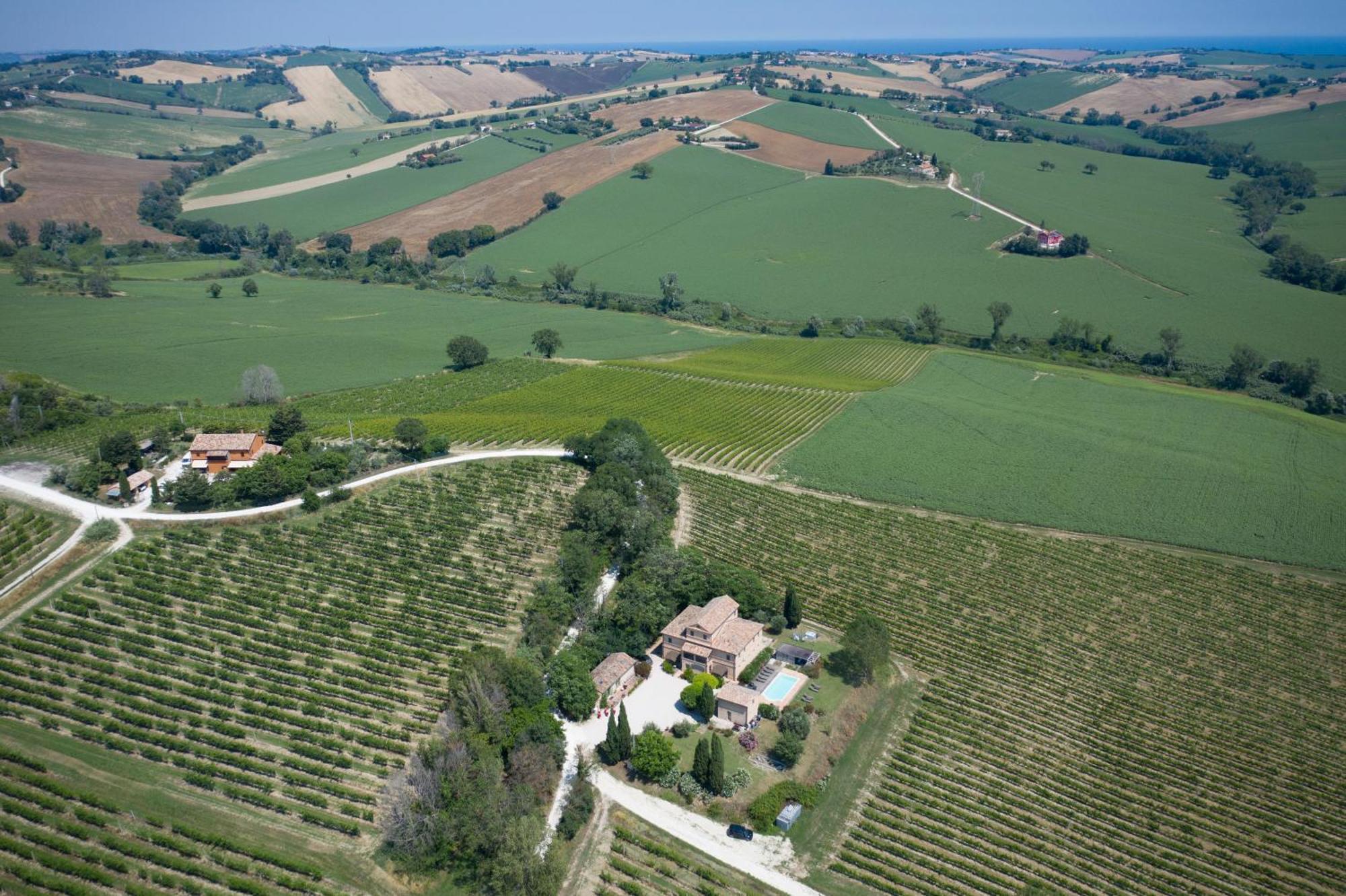 La Vita Nuova Appartements - Appart B&B Morro d'Alba Luaran gambar